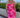 Arina | Floral Maxi Dress