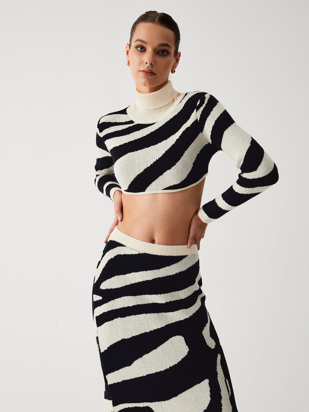 Monteclo - Bria Zebra Print Mock Neck Crop Top Two Piece Skirt Set