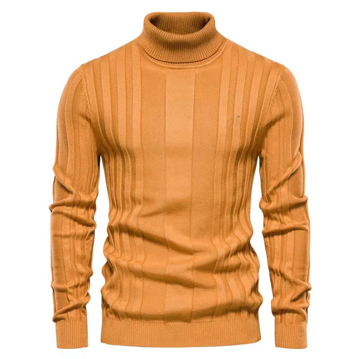 BOGS -Beautiful striped turtleneck sweater for men