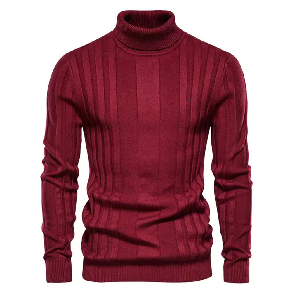 BOGS -Beautiful striped turtleneck sweater for men